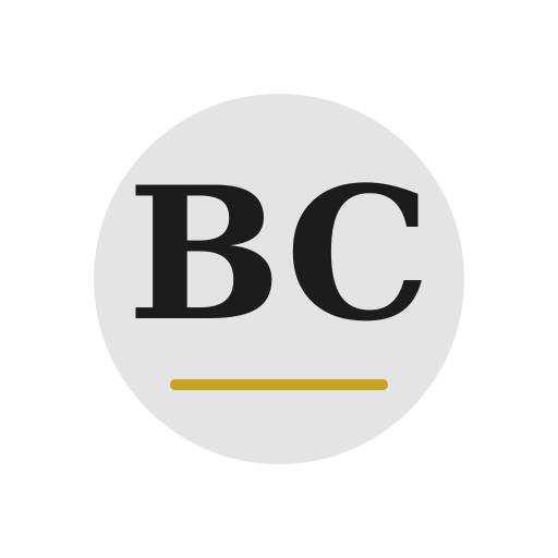 Beech Chimney Repair logo